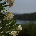 Elia Village Διαμέρισμα Κατομέρι
